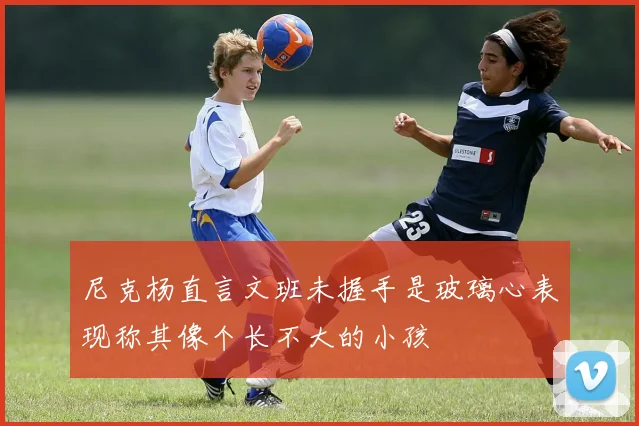 尼克杨直言文班未握手是玻璃心表现称其像个长不大的小孩